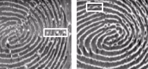 Sensor read of spoof finger with white air bubbles